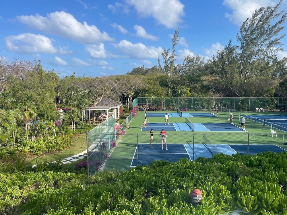 Turtle Pointe - Lux New Windermere Home W/pool, Boat Dock, Beach 3 Bedroom Home
