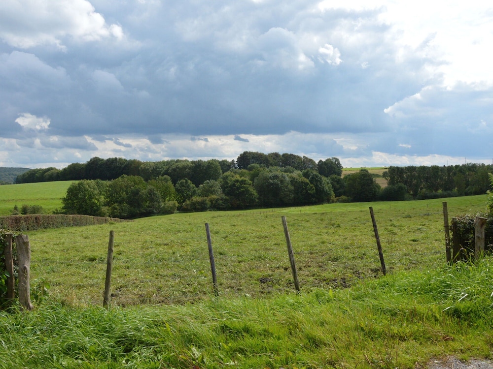 Photo 38