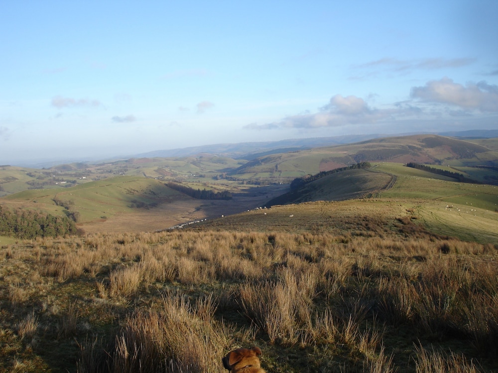 The Clochfaen