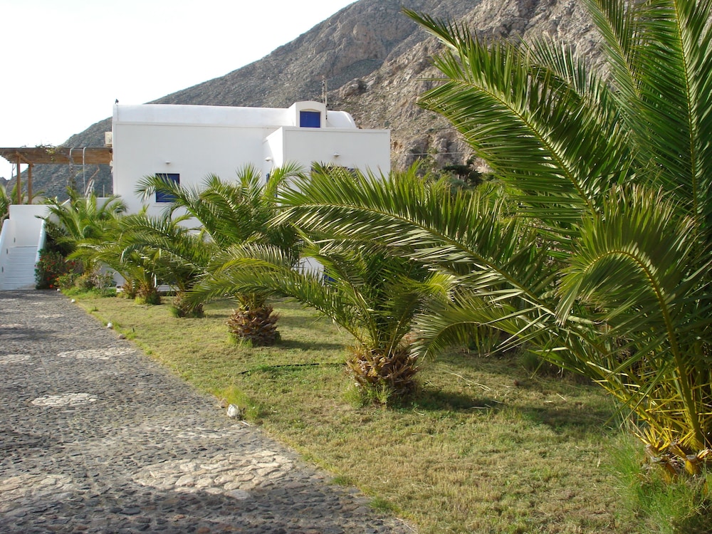 Photo 49