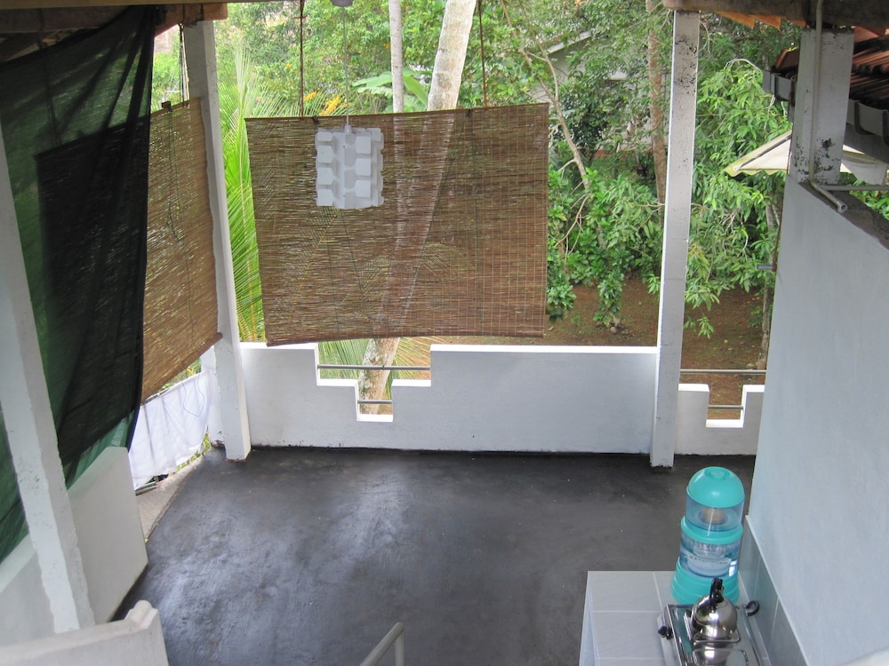 Jungleside House
