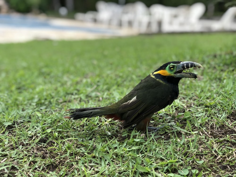 Pousada Villa da Glória