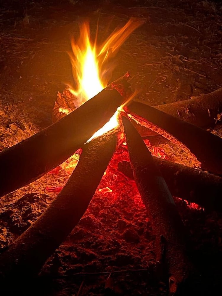 AMENITY TOURS & CAMPING - SERENGETI