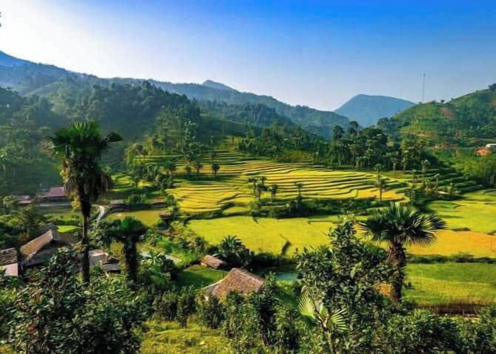 Ban Lien Homestay