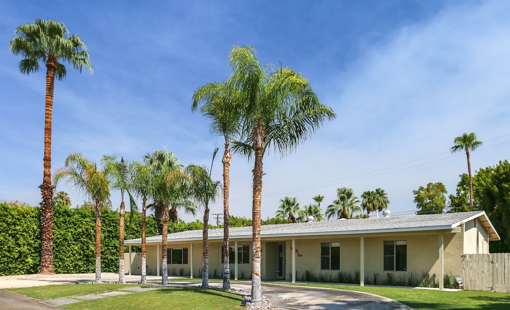 Luring Palms Oasis