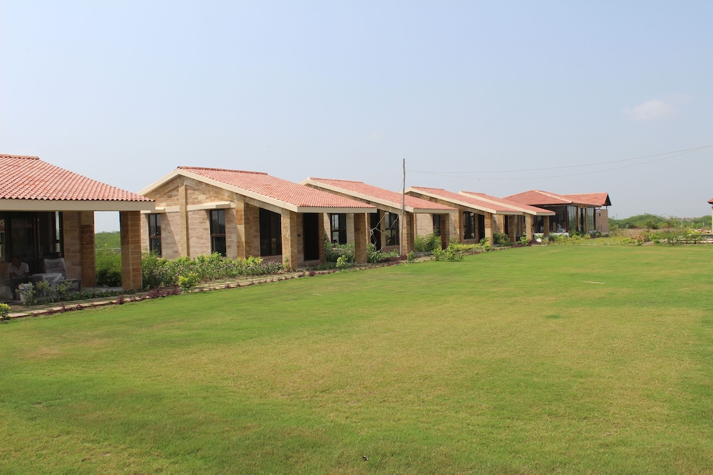 The Blackbuck Trails Velavadar view 4