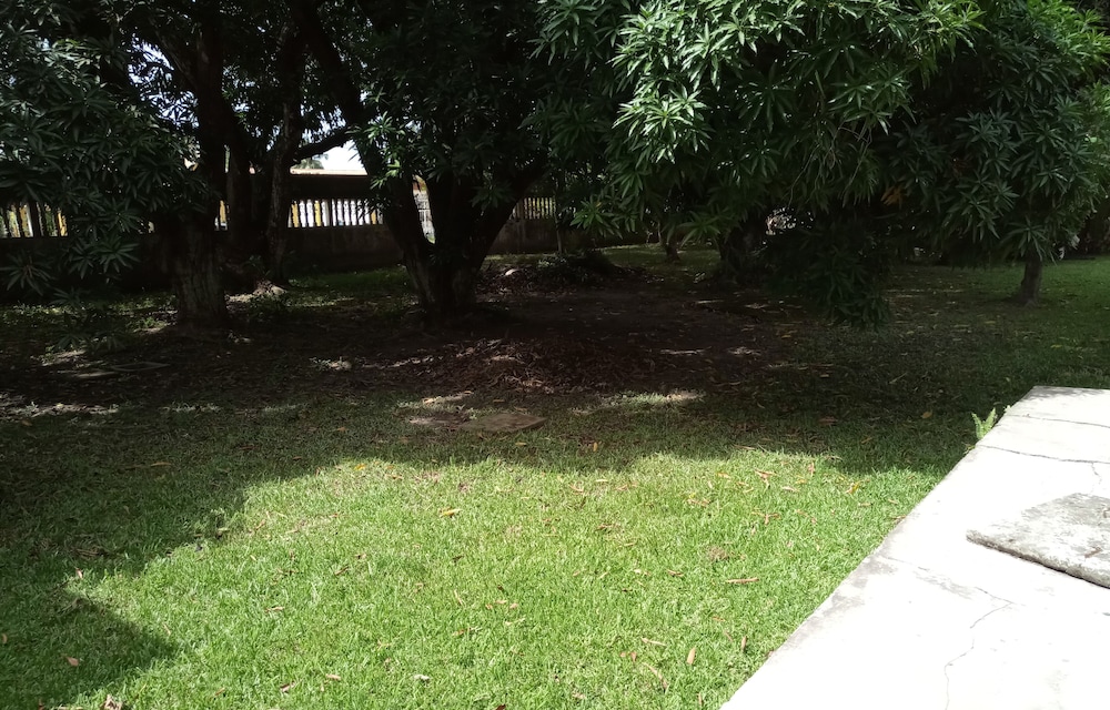 Photo 46