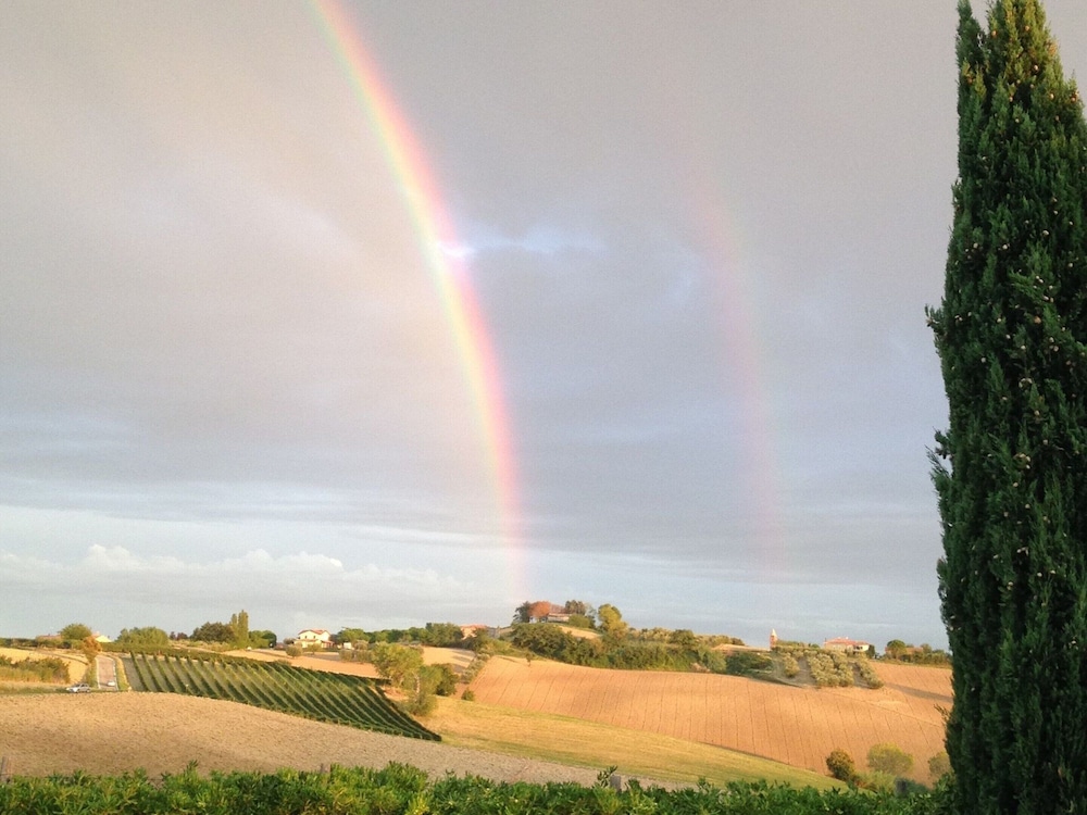 Apartment in Coriano Near Vineyards & Beaches view 5