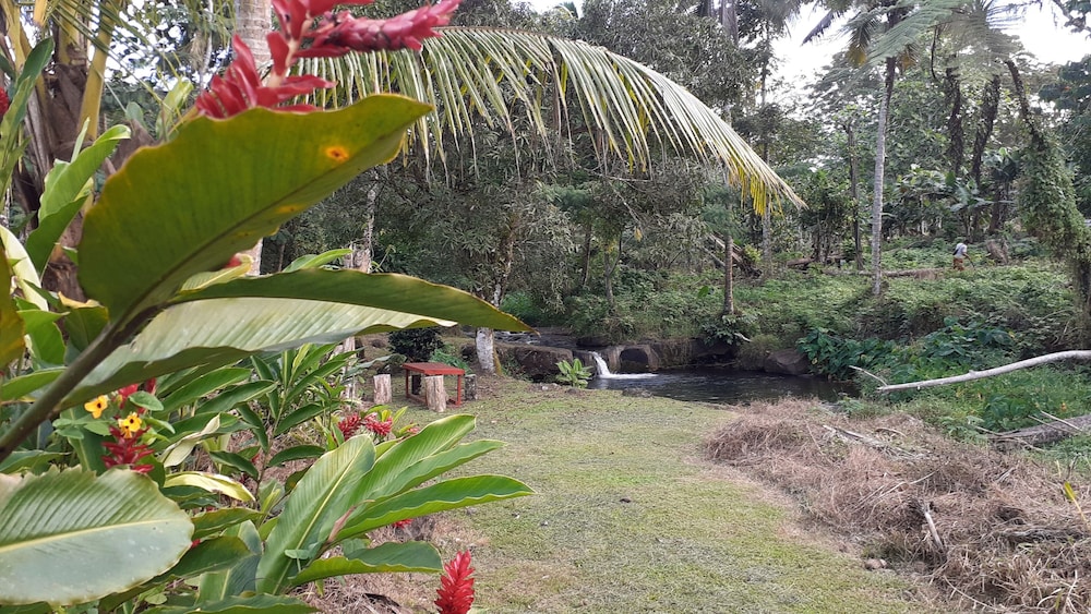 Dave Parker's Eco Lodge