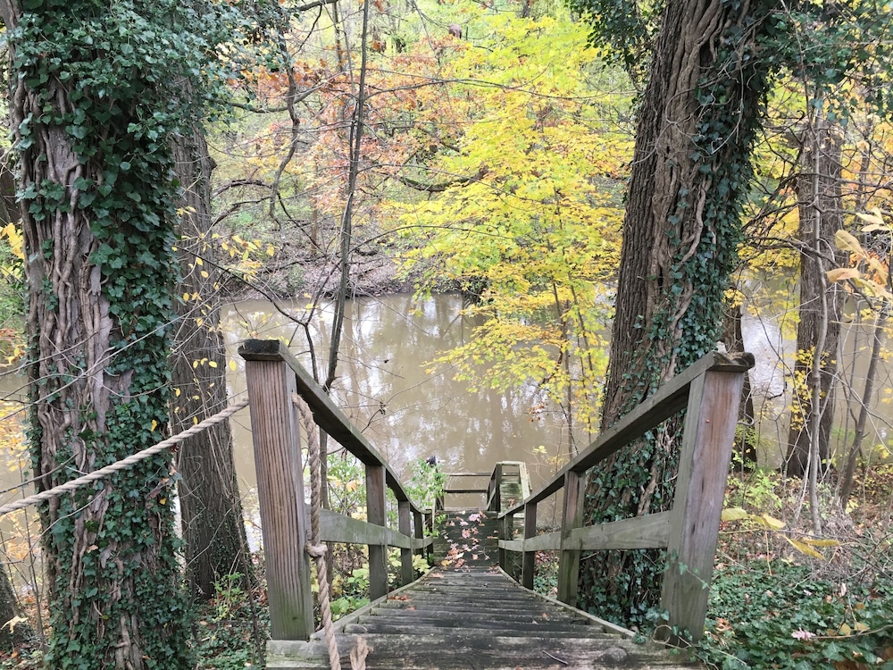 Goldberry Woods