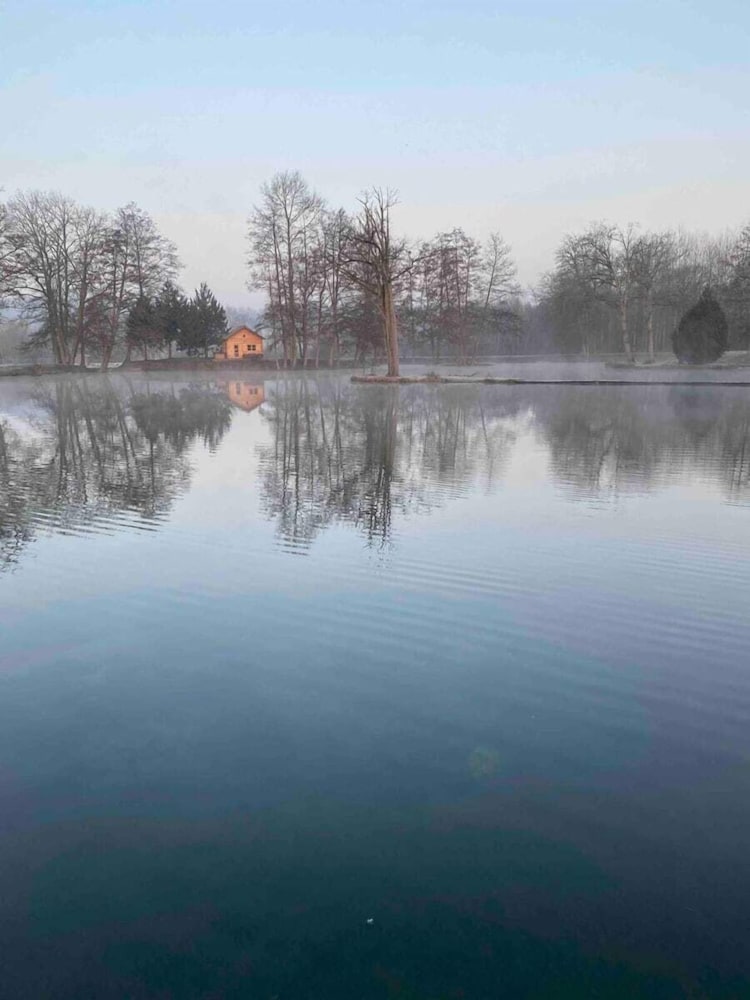 Etangs de la Palombière