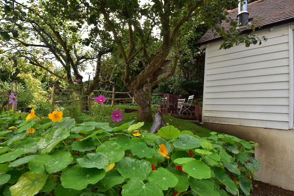 Photo 46