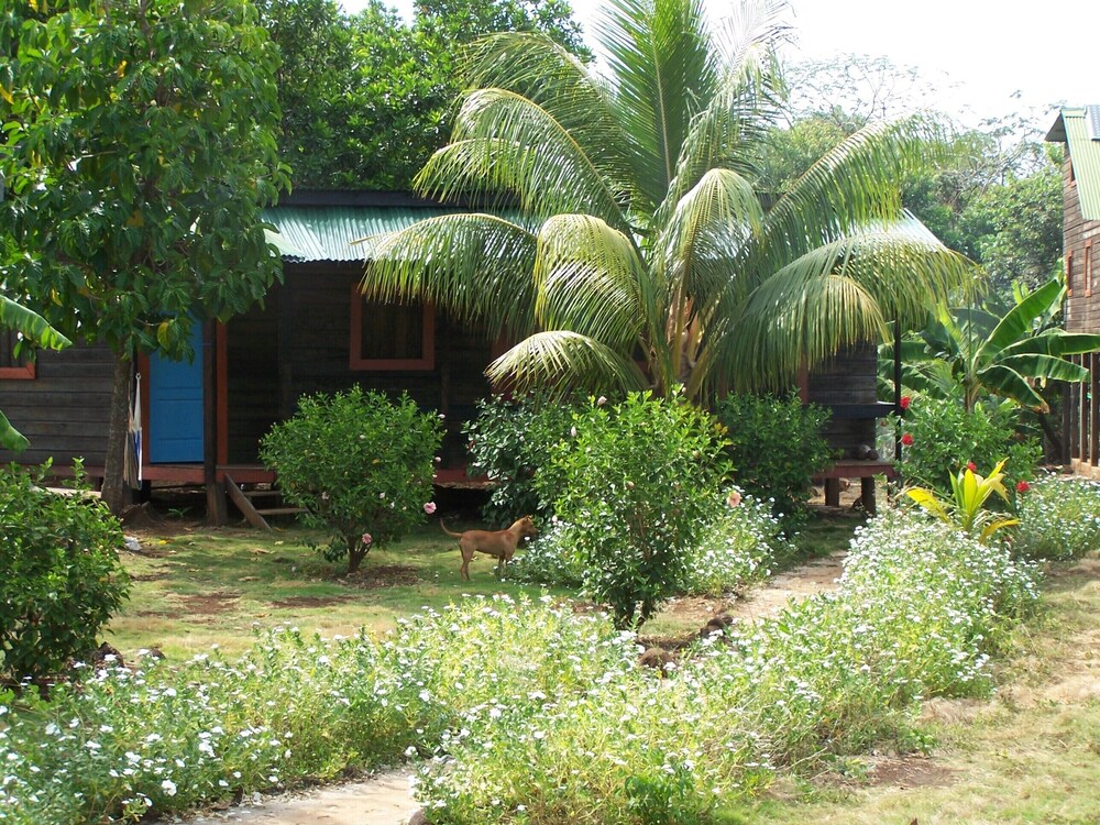 Photo 40