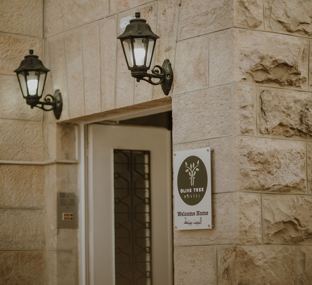 OliveTreeHostel, photo 74