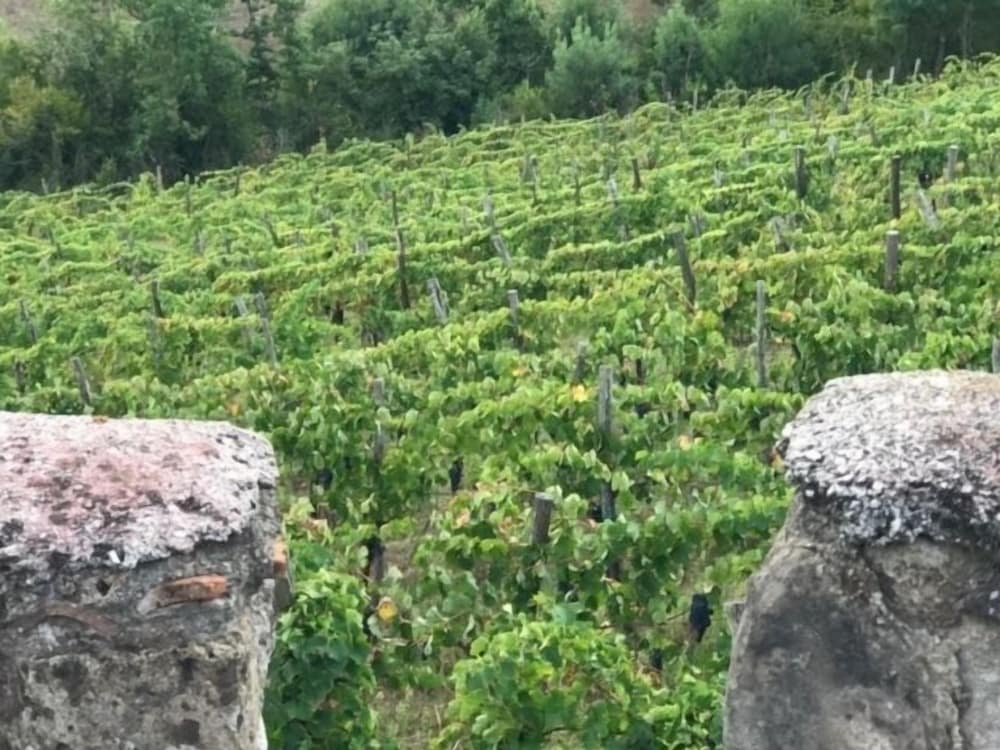 Antico Casale di Campagna
