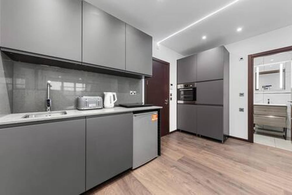 Modern Spacious Suite Sleeps 4 in Central London