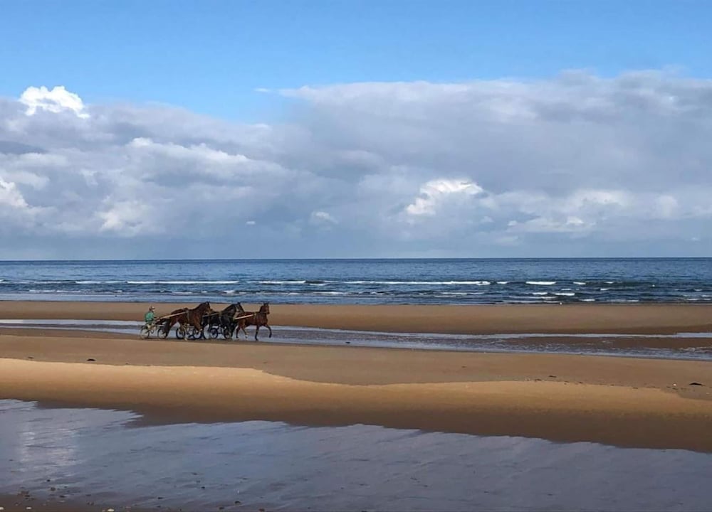 North Sea Family Haven