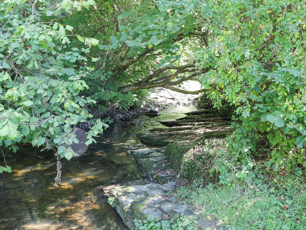 Rhyd Lechog