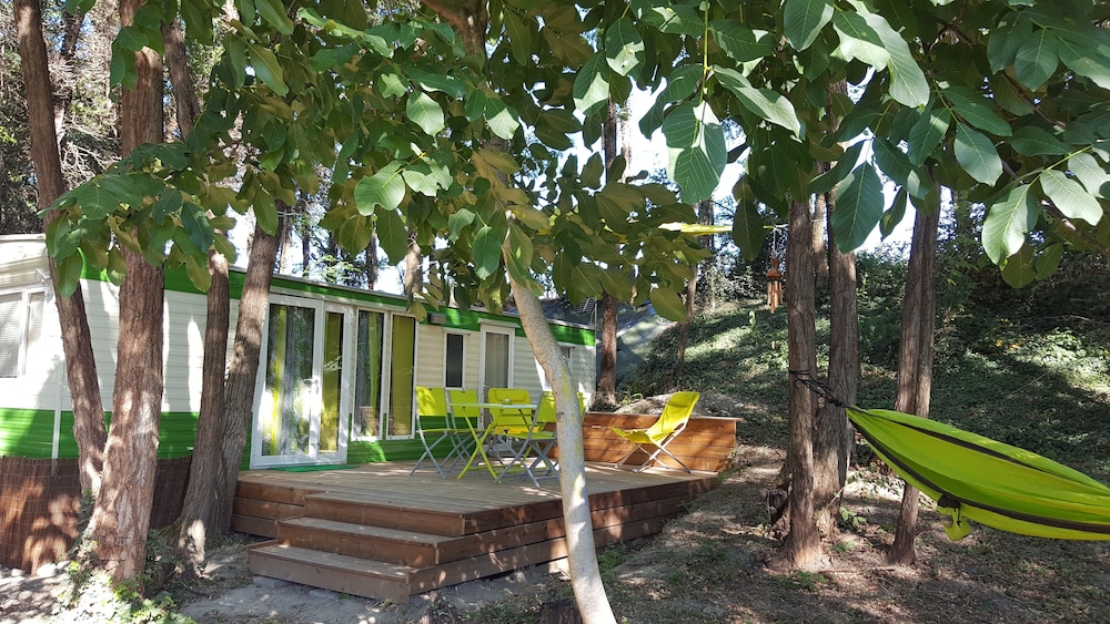 Des Branches & Vous