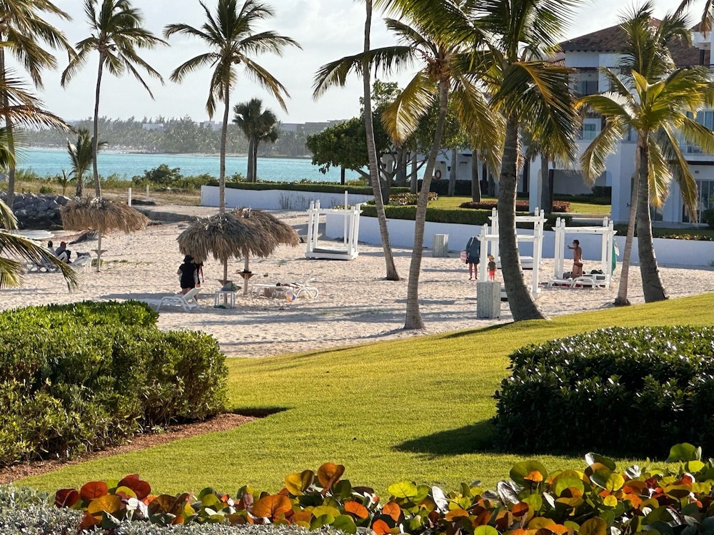 Photo 41