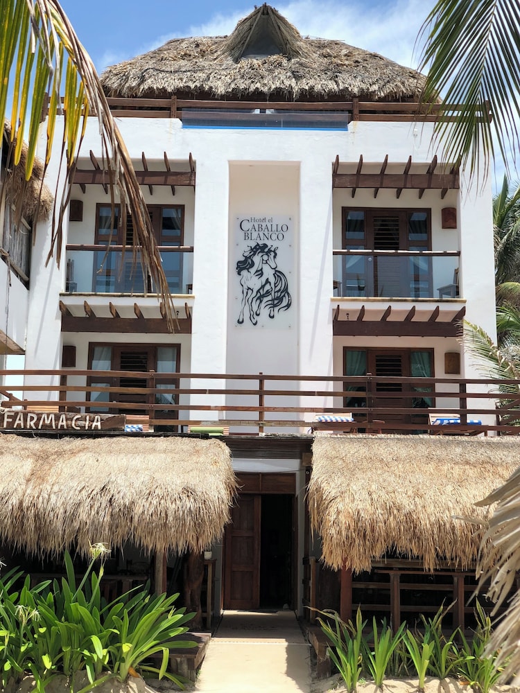 Hotel El Caballo Blanco - Image 1
