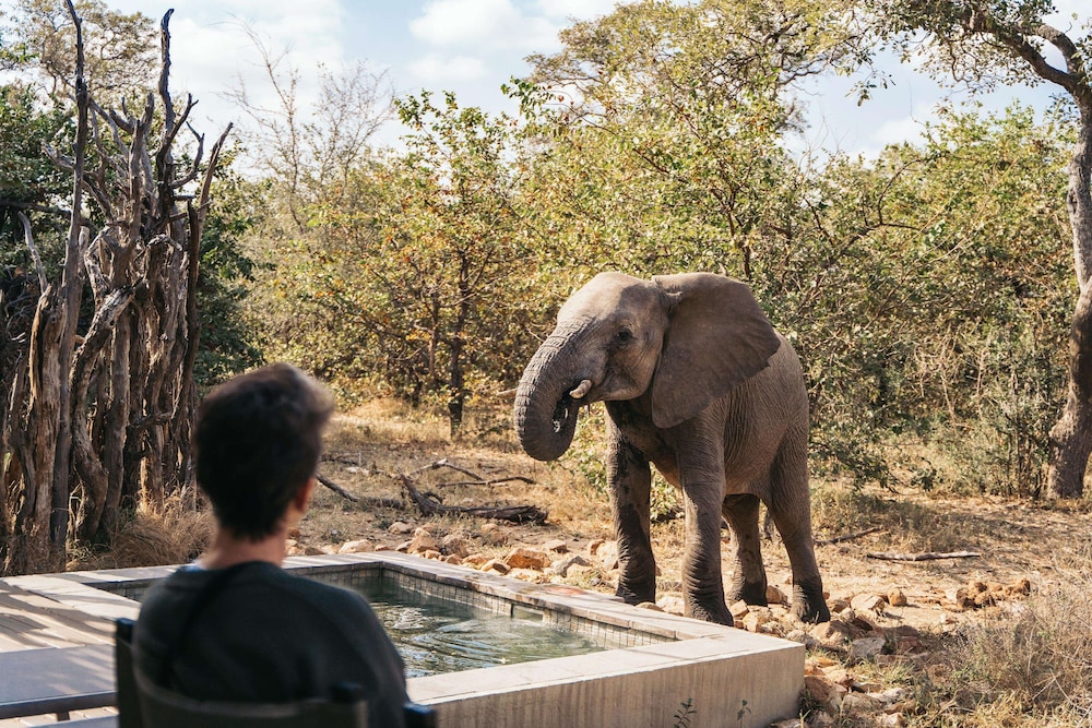 Simbavati River Lodge