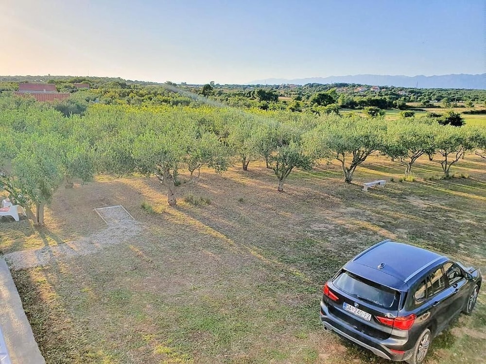 Holiday Home Olive Paradise view 2