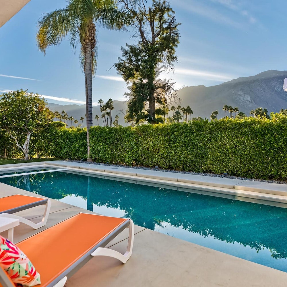 Indian Canyon Oasis in Palm Springs