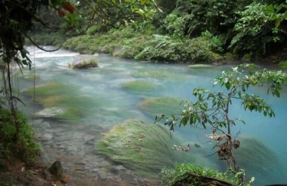 Arenal Volcano - Costa Rica Vacations - Sunset Inn Valle del Volcan - Property Image 6