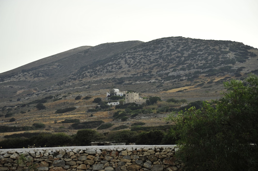 Photo 50