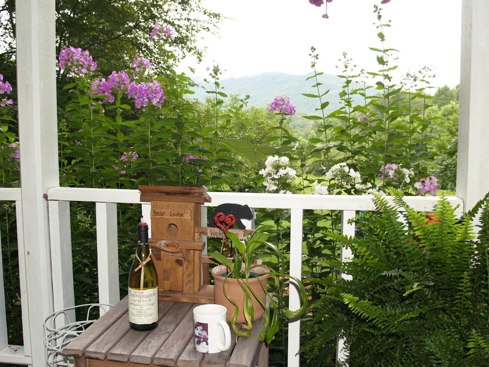 Henson Cove Place B&B with Cabin