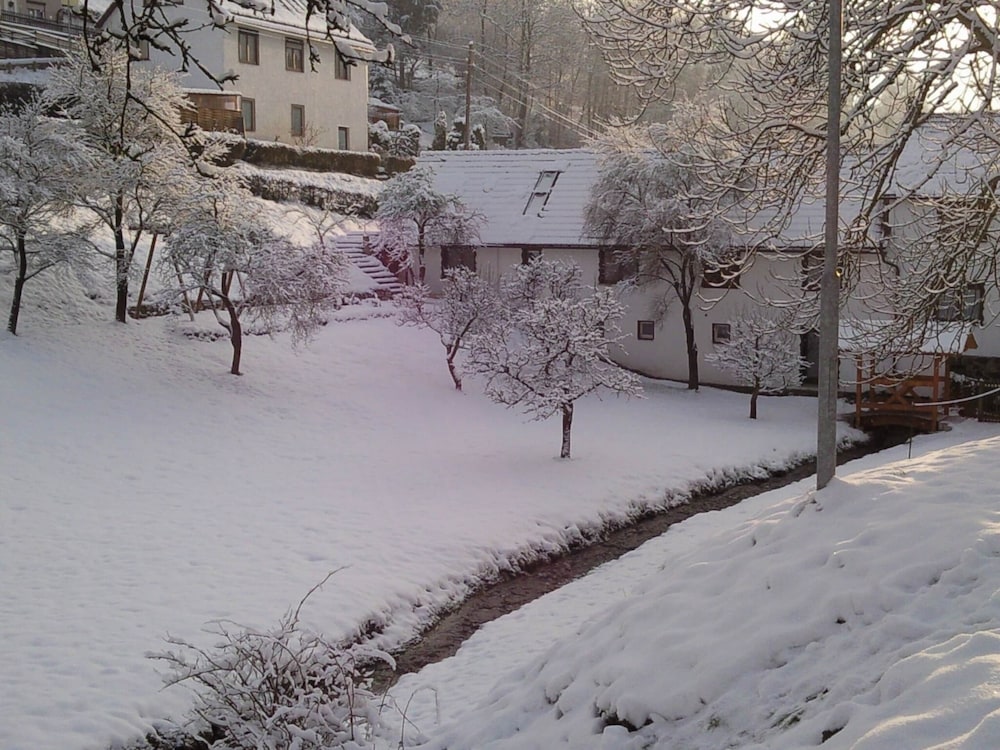 Photo 27