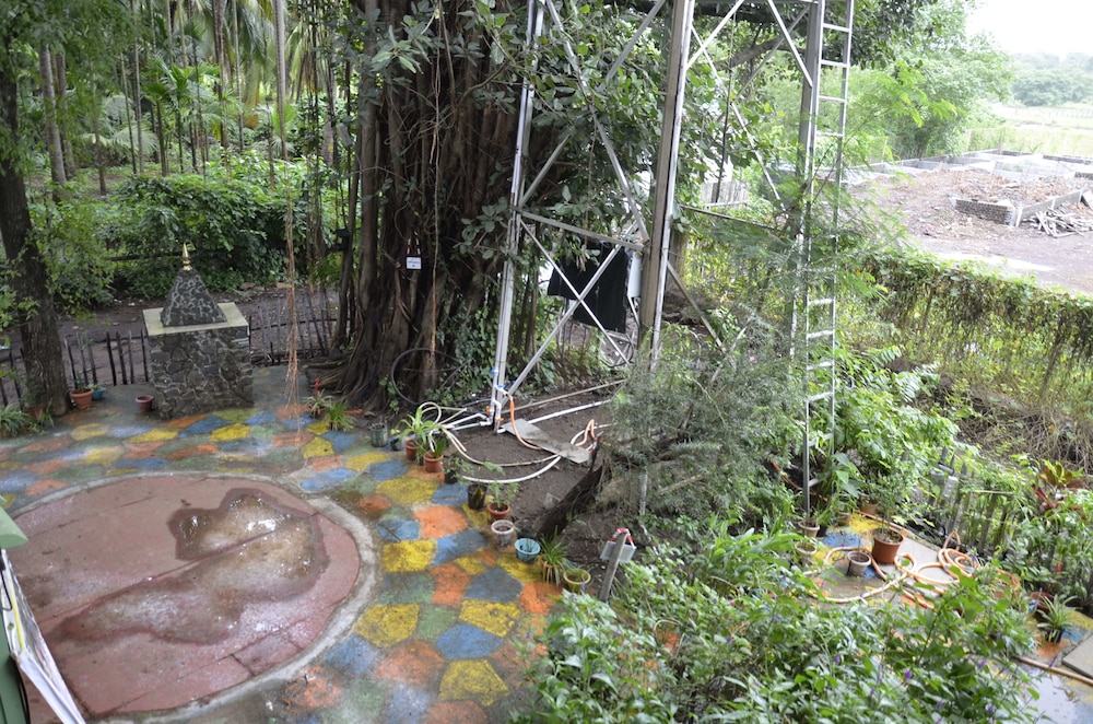 Photo 12