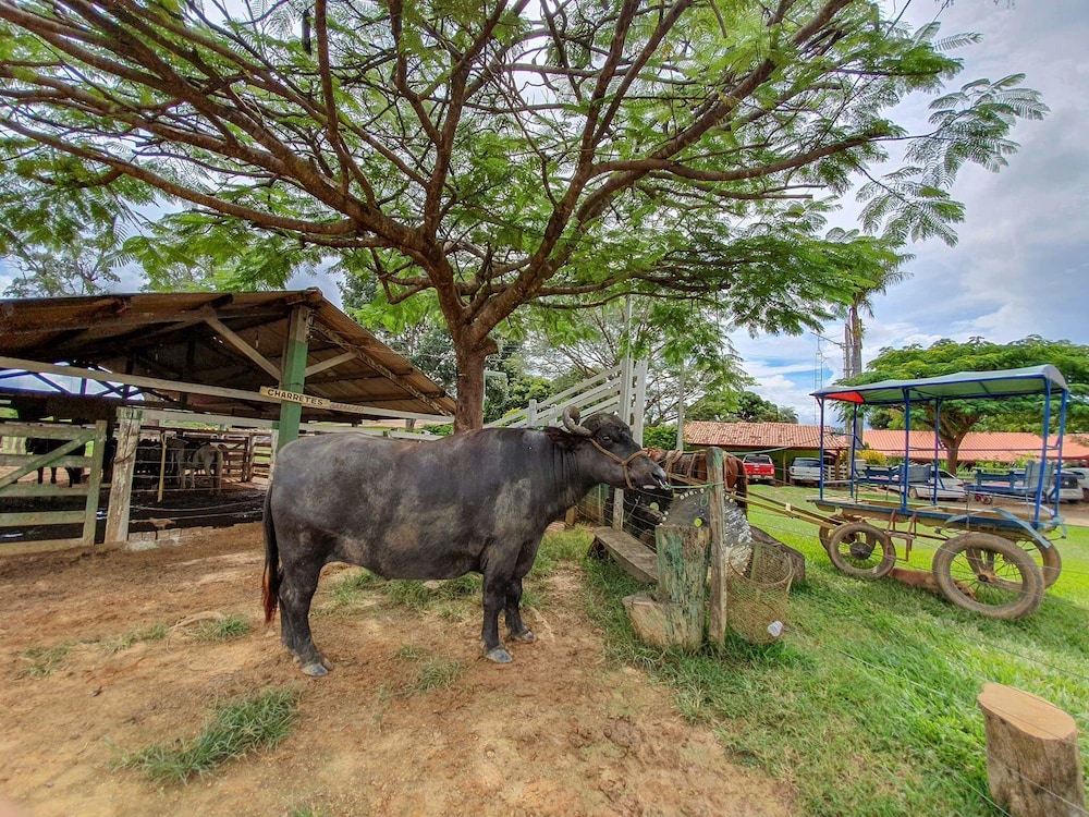 Hotel Fazenda Araras view 3