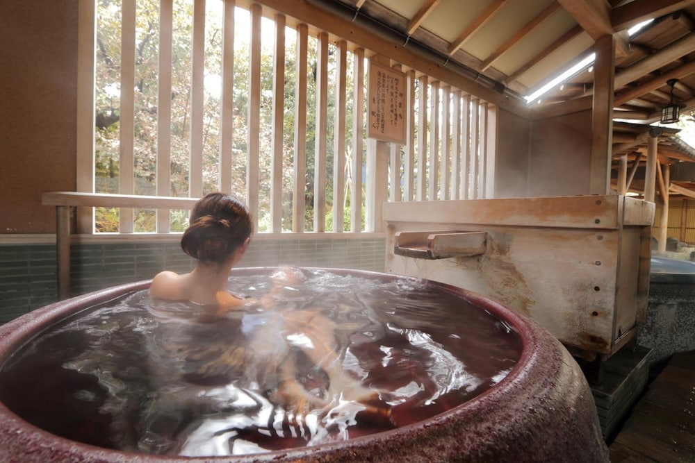 Awara Onsen Seifuso