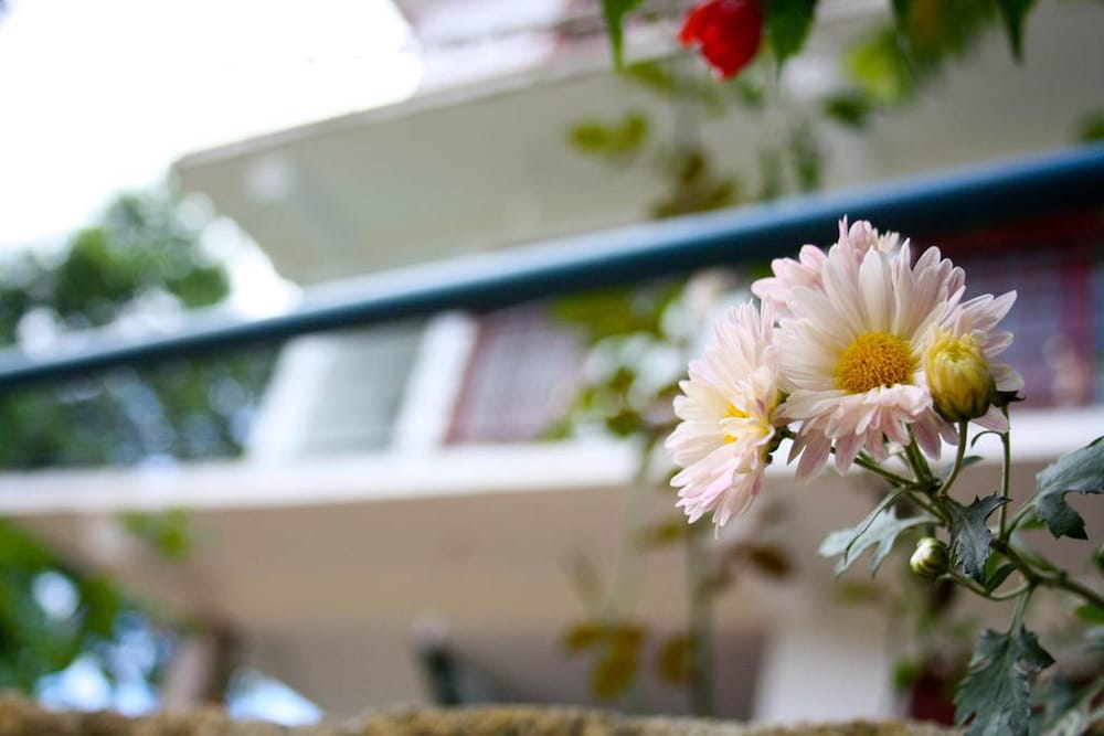 Elegant Homestay 
