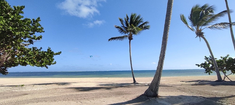 Photo 201