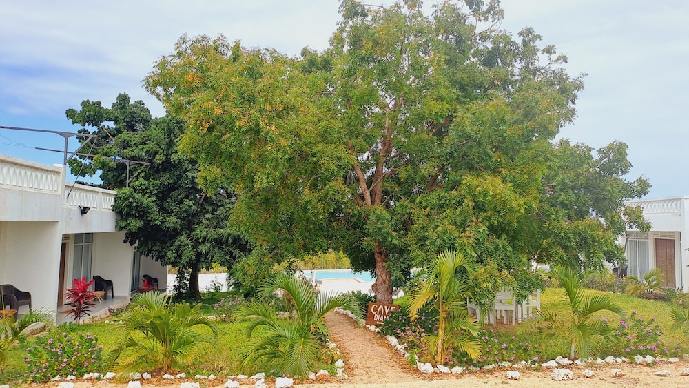 Photo 46