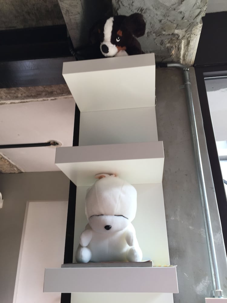 iHouse ChinChin