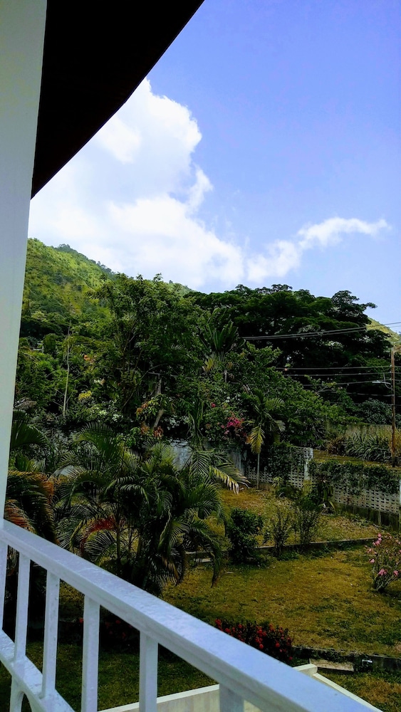 JH Tropical Arcadia