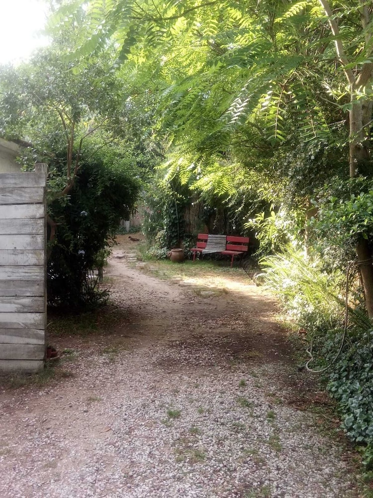 Photo 19