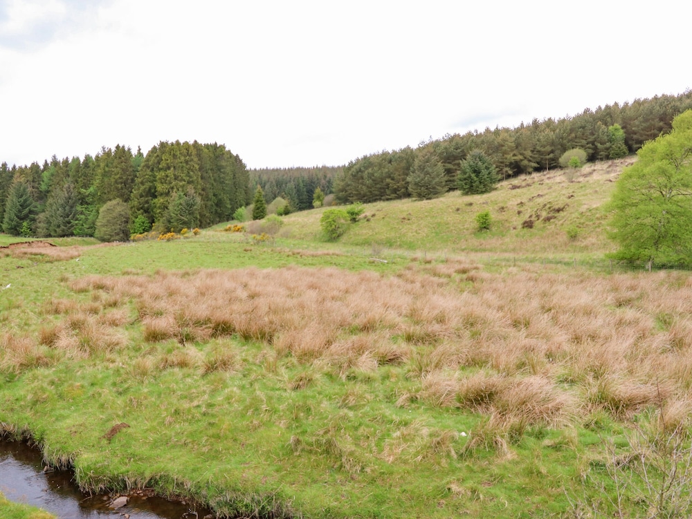 Hexham Vacations - Shepherds Burn Cottage - Property Image 3