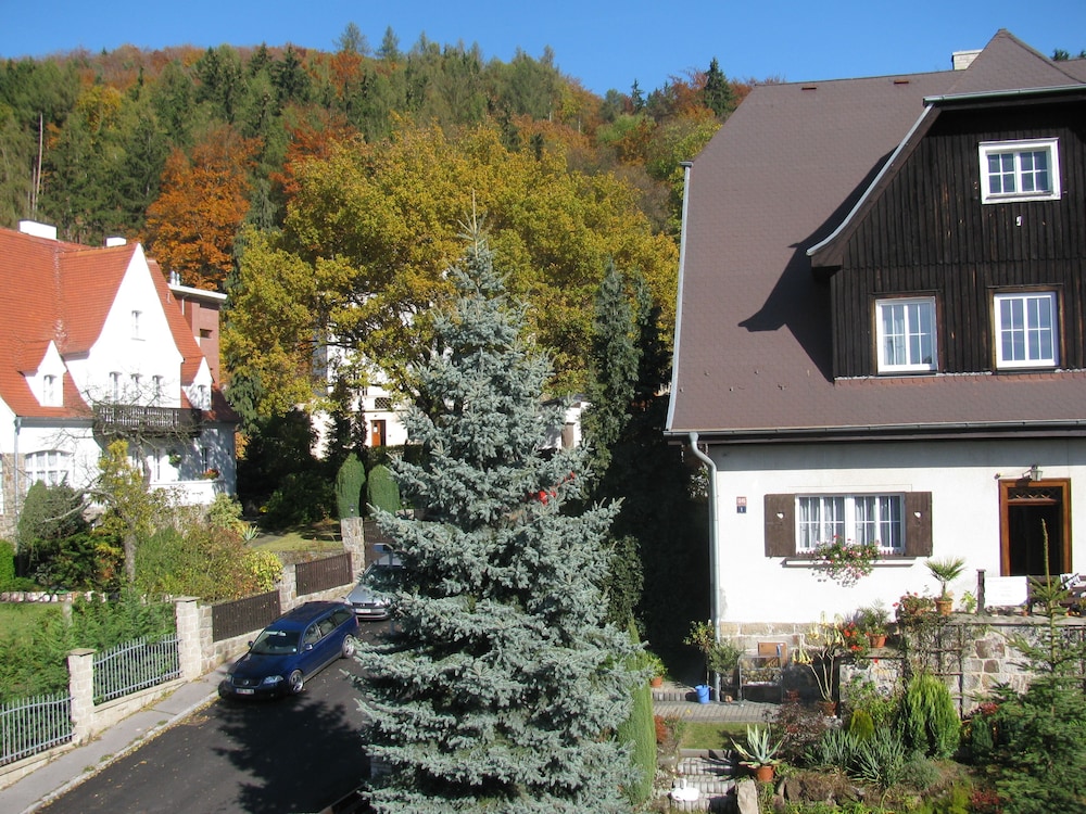 Photo 31