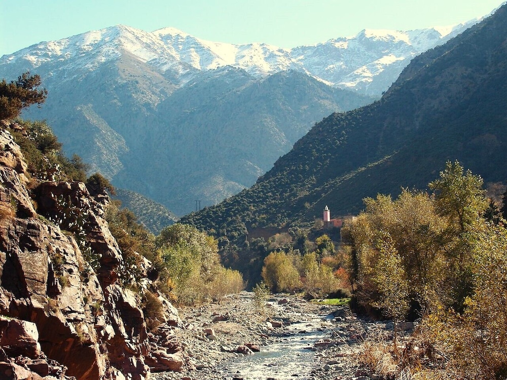 Photo 6