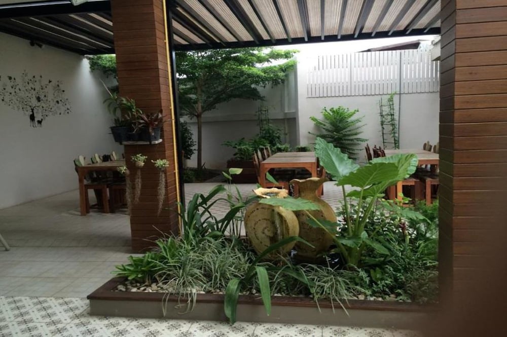 Dino Studio