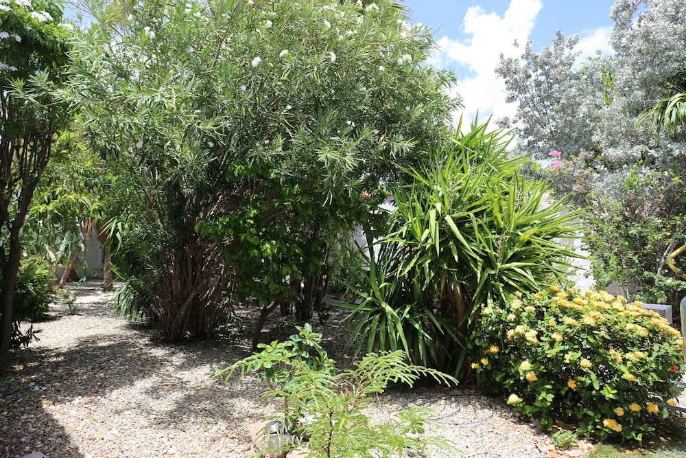 ALOE B&B