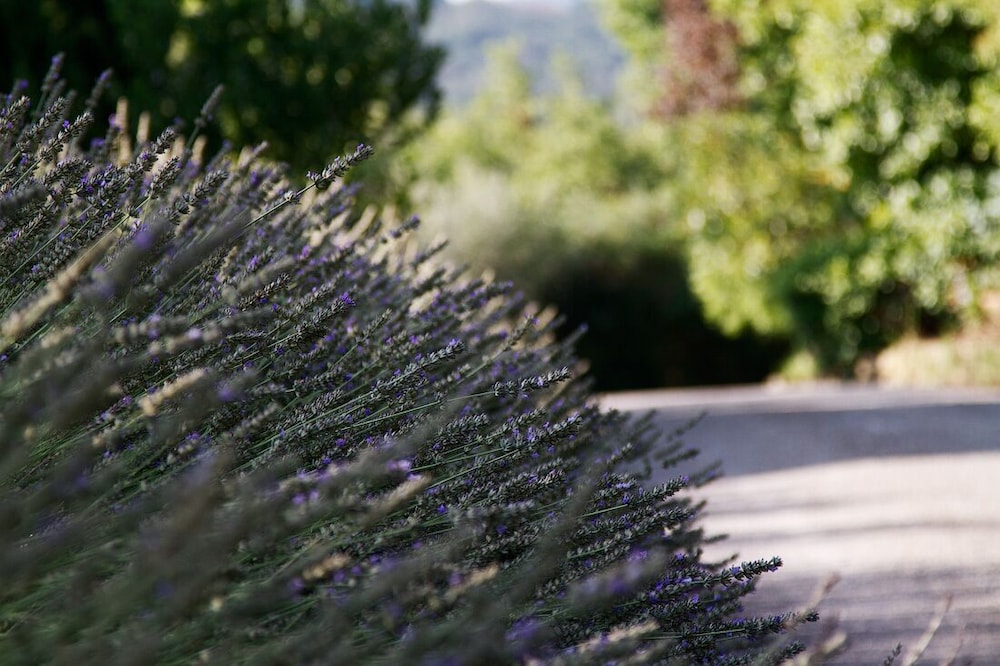 Agriturismo Casagrande