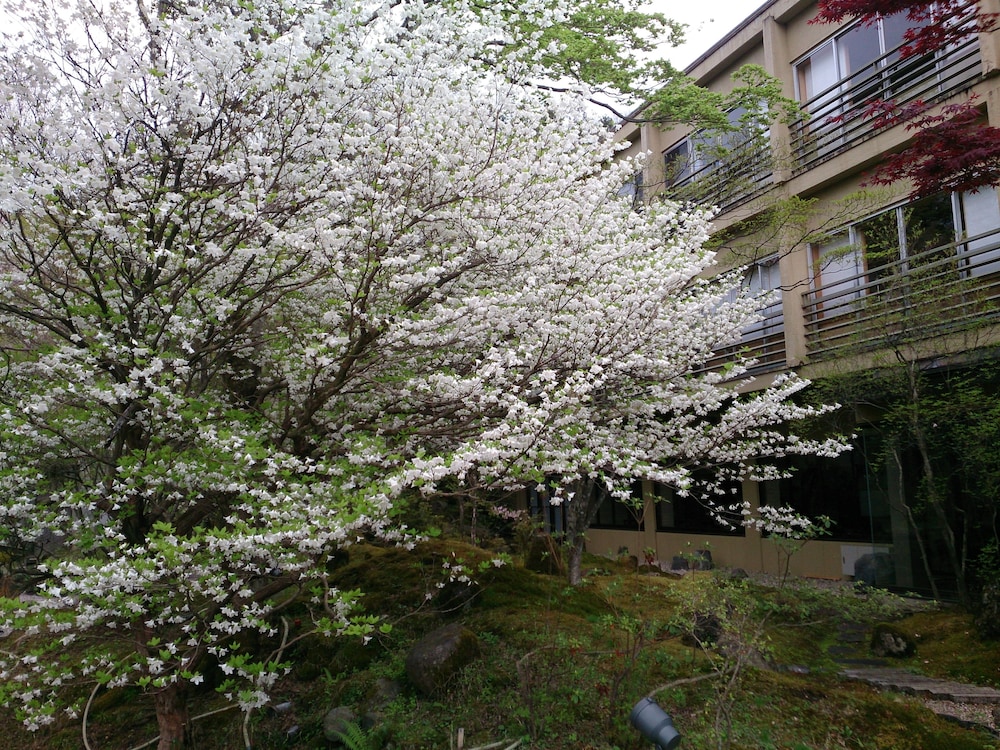 Photo 50