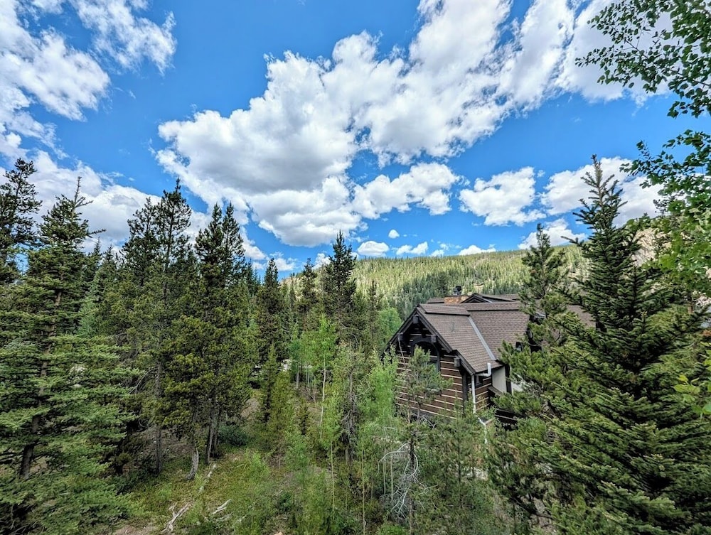 Settlers Creek 6521