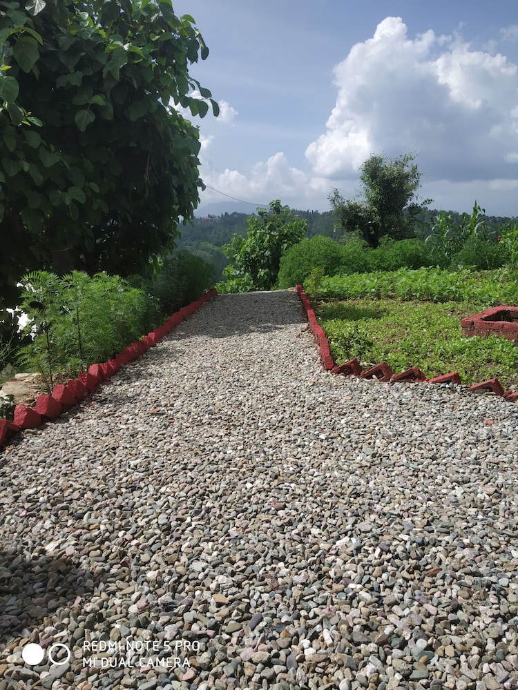 Pine pioneer the eco resort